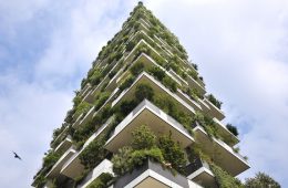 Bosco Verticale